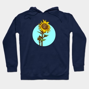 Sunflower in sky circle Hoodie